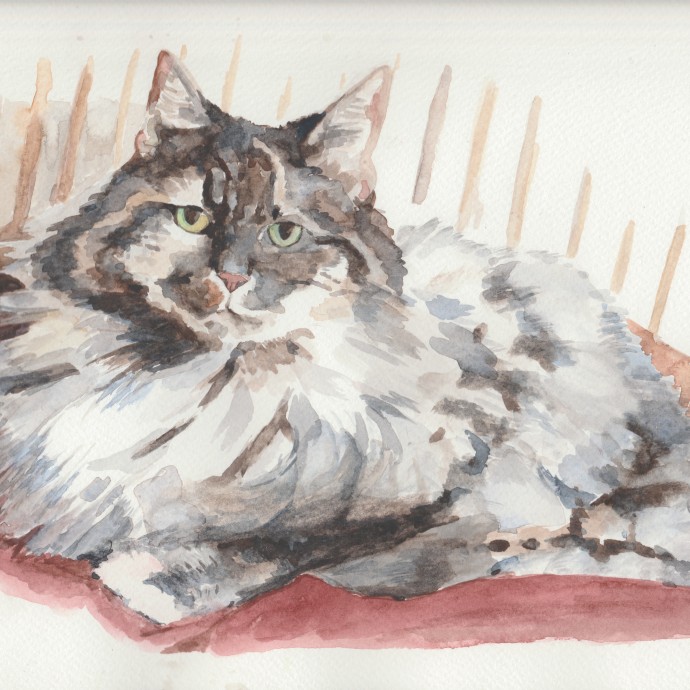 "Izzy", 8"x10", Watercolour, 2015. (Commission)