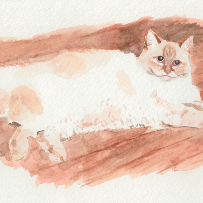 "Mabel" 5.5"x8.5", Watercolour, 2015